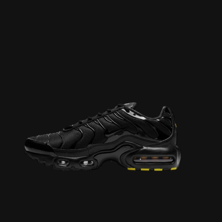Nike Air Max Plus Triple Black