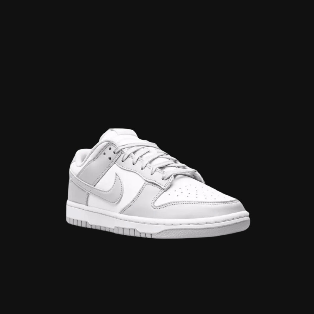 Nike Dunk Grey fog