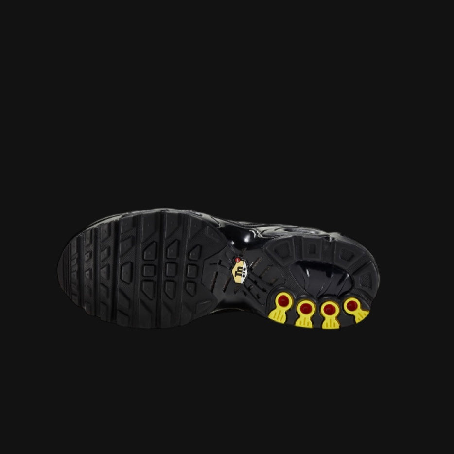 Nike Air Max Plus Triple Black